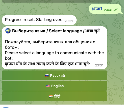 Language selection — Russian, English, Hindi